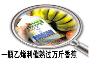 农药店卖催熟剂 西红柿一抹变红